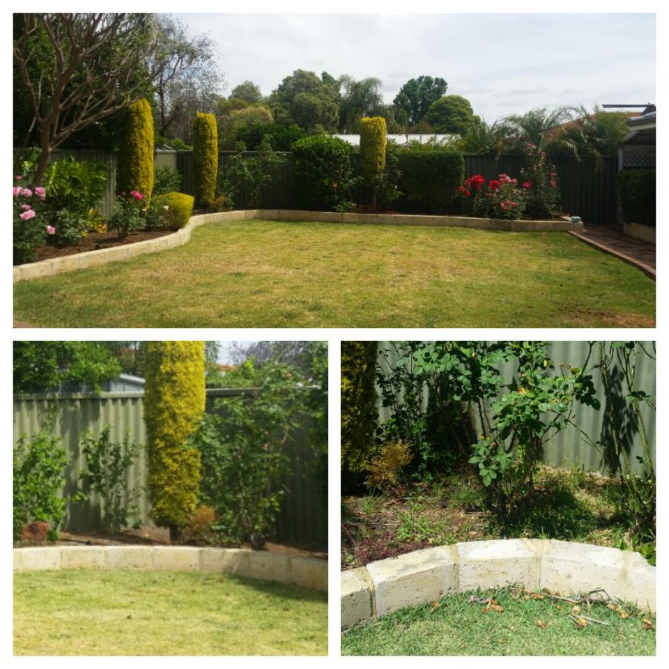 garden-maintenance-retic-forrestfield2